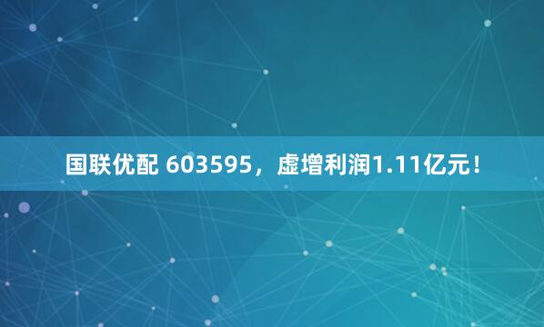 国联优配 603595,虚增利润1.11亿元!