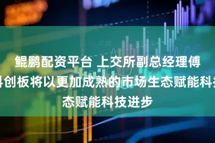 鲲鹏配资平台 上交所副总经理傅浩：科创板将以更加成熟的市场生态赋能科技进步