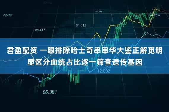 君盈配资 一眼排除哈士奇串串华大鉴正解觅明显区分血统占比逐一筛查遗传基因